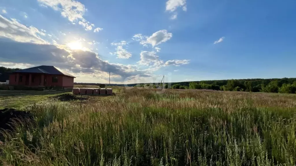 Участок в Мордовия, Саранск городской округ, пос. Добровольный ул. ... - Фото 0