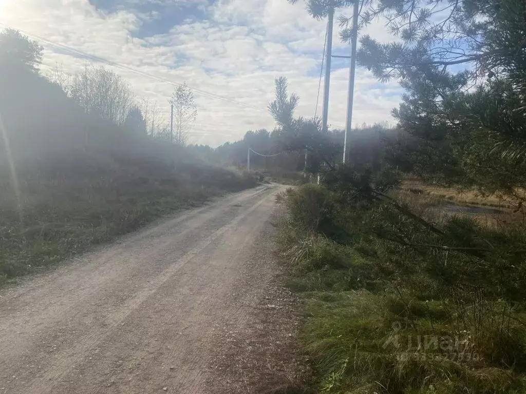 Участок в Ленинградская область, Лужский район, Толмачевское городское ... - Фото 2