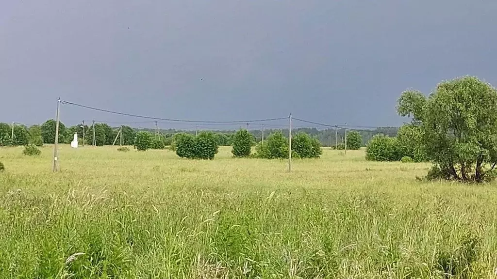 Участок в Новгородская область, Новгородский район, Трубичинское ... - Фото 1