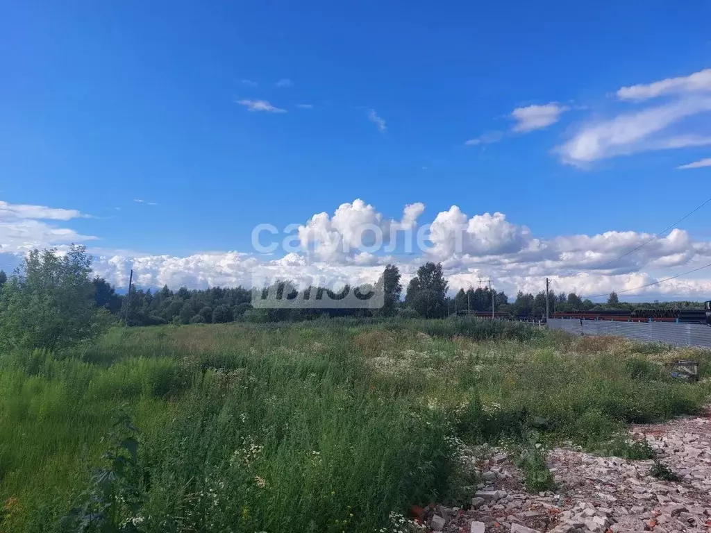 Участок в Нижегородская область, Кстовский муниципальный округ, д. ... - Фото 1