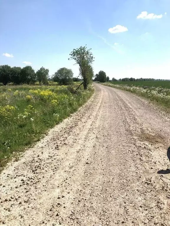 Участок в Ленинградская область, Кингисеппский район, Опольевское ... - Фото 1