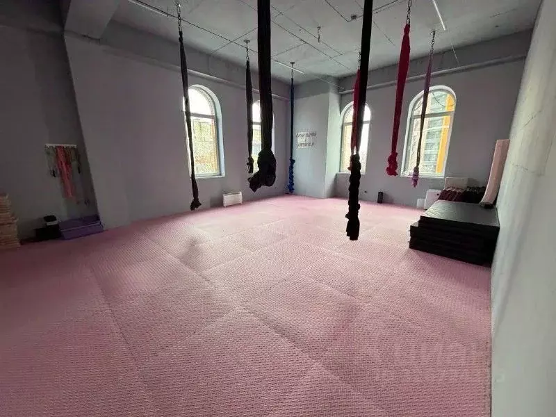 Помещение свободного назначения в Хабаровский край, Хабаровск ул. ... - Фото 2