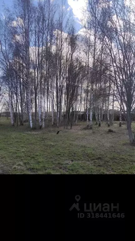 Участок в Московская область, Рузский муниципальный округ, д. ... - Фото 1