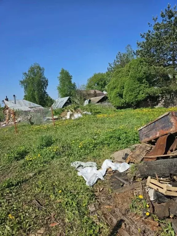 Участок в Московская область, Домодедово городской округ, с. ... - Фото 2