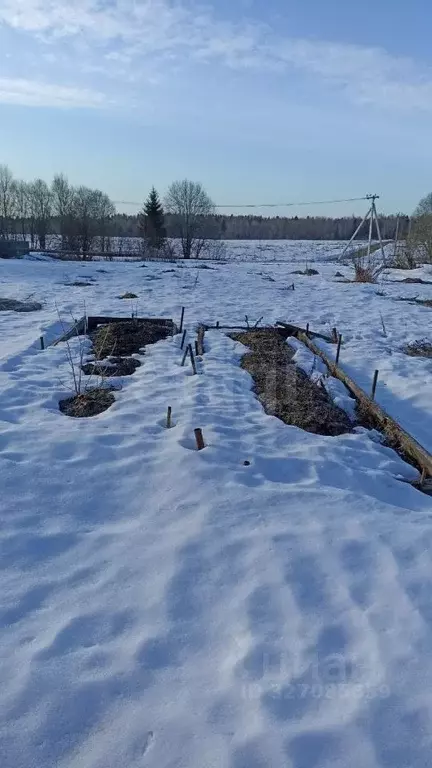 Участок в Вологодская область, д. Елгино  (8.0 сот.) - Фото 1