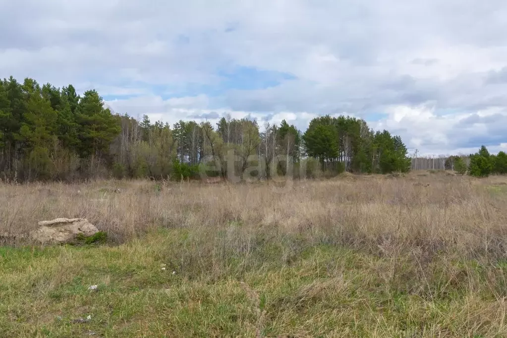 Участок в Тюменская область, Тюменский муниципальный округ, д. ... - Фото 1