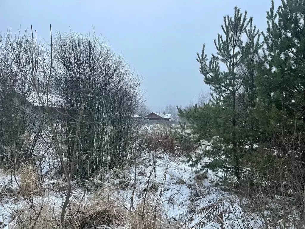Участок в Московская область, Павлово-Посадский городской округ, д. ... - Фото 1