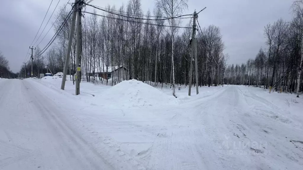 Участок в Санкт-Петербург, Санкт-Петербург, Павловск Павлов Скай кп,  ... - Фото 2