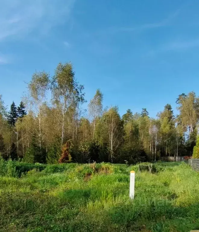 Участок в Московская область, Рузский муниципальный округ, д. Волково, ... - Фото 2