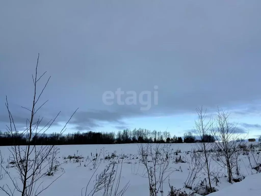 Участок в Вологодская область, д. Дитятьево  (35.0 сот.) - Фото 1
