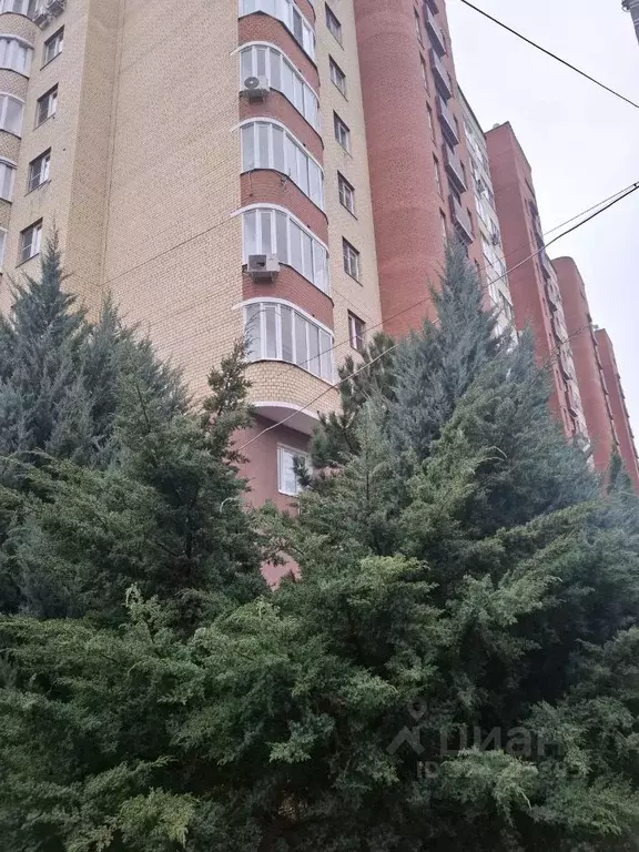 2-к кв. Московская область, Домодедово Северный мкр, ул. Энергетиков, ... - Фото 0