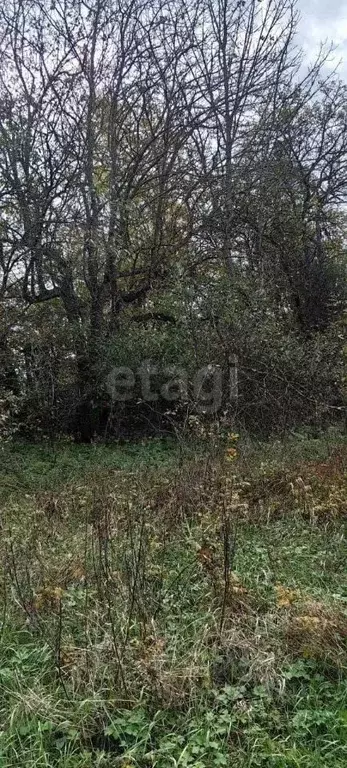 Участок в Адыгея, Майкопский район, Кужорское с/пос, Кужорская ст-ца  ... - Фото 1