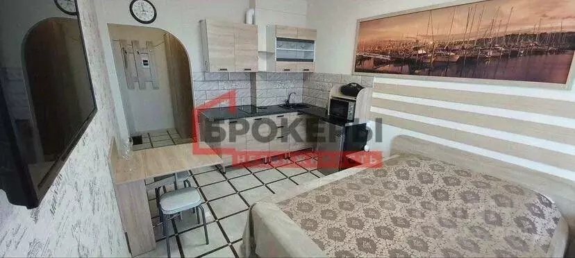 Студия Севастополь проезд Рубежный, 28 (24.5 м) - Фото 2