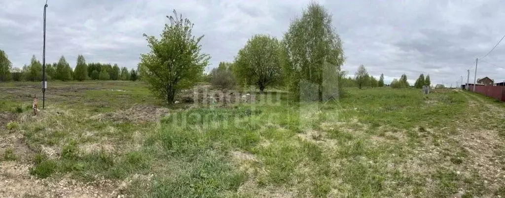 Участок в Нижегородская область, Богородский муниципальный округ, с. ... - Фото 1