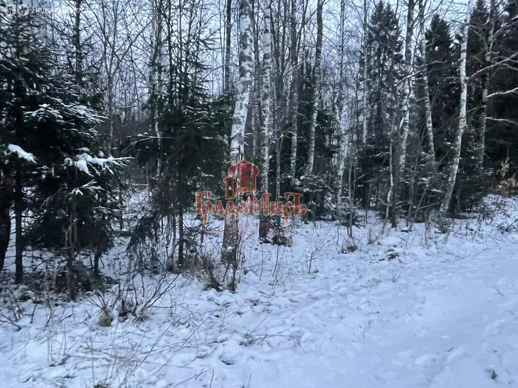 Участок в Сергиево-Посадский городской округ, деревня Новожёлтиково ... - Фото 0