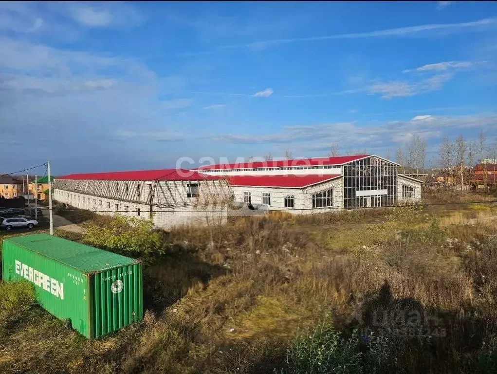 Помещение свободного назначения в Курская область, Курский район, ... - Фото 2