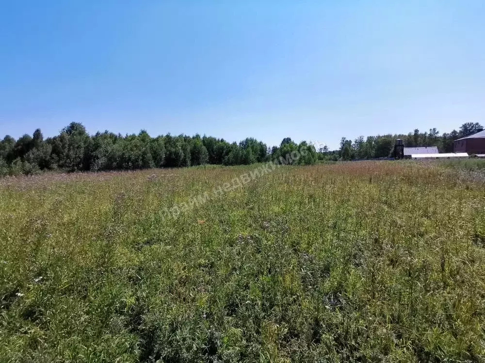 Поселок березовый участки. Село берёзово Кемеровская область. Березовая грива. Село Березовая.