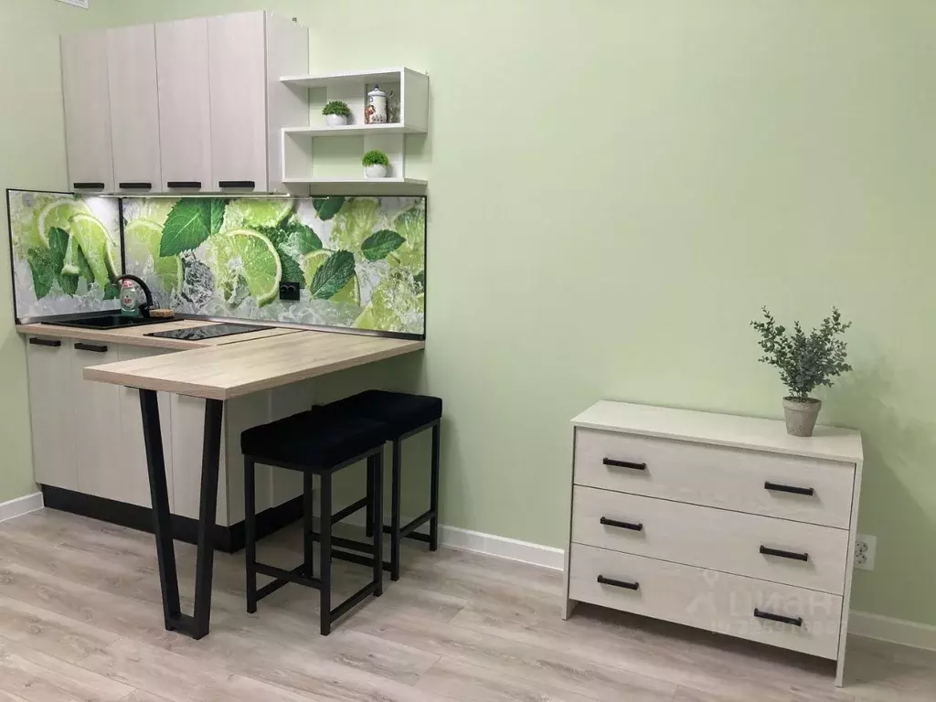 Студия Санкт-Петербург ул. Русановская, 24 (22.0 м) - Фото 2