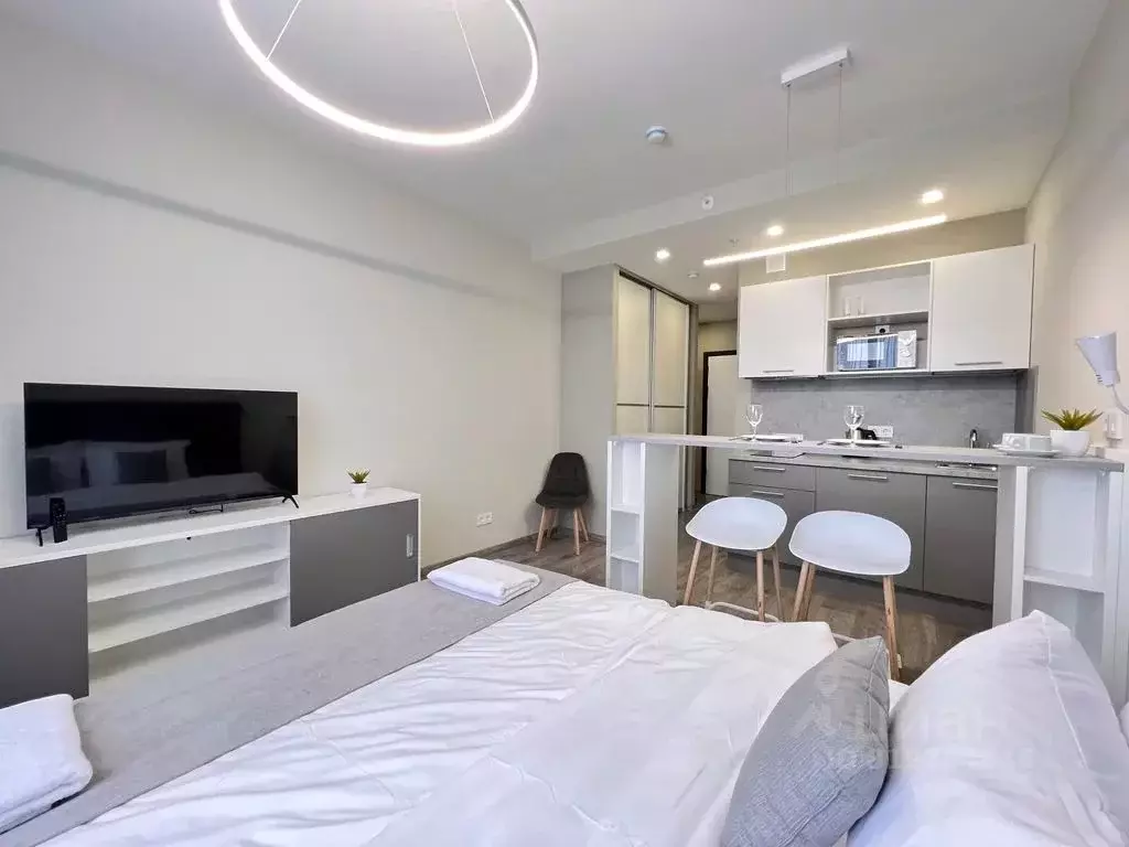 Студия Санкт-Петербург Витебский просп., 99к1 (24.0 м) - Фото 1