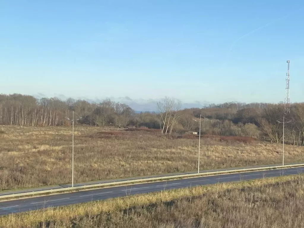 1-к кв. Калининградская область, Зеленоградский муниципальный округ, ... - Фото 1