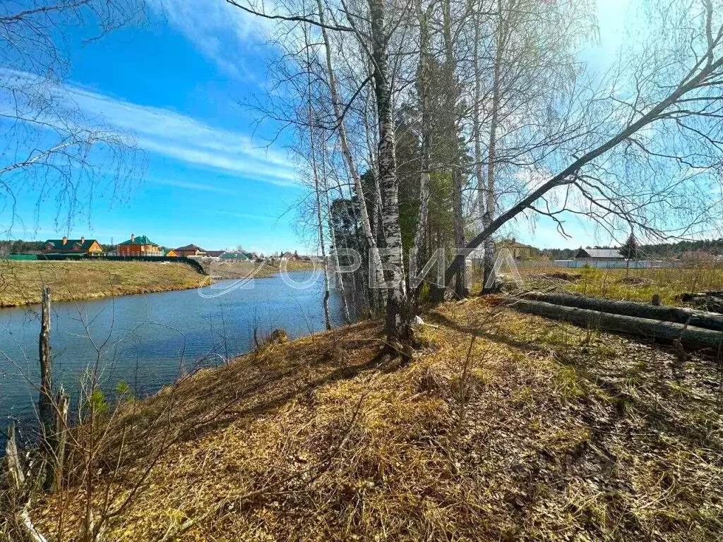 Участок в Тюменская область, Тюменский муниципальный округ, д. Ушакова ... - Фото 1