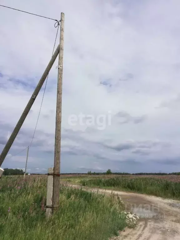 Участок в Свердловская область, Слободо-Туринский район, ... - Фото 1