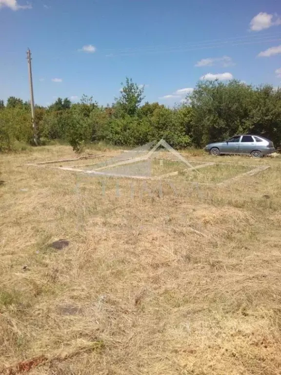 Участок в Саратовская область, Воскресенский район, Елшанское ... - Фото 2