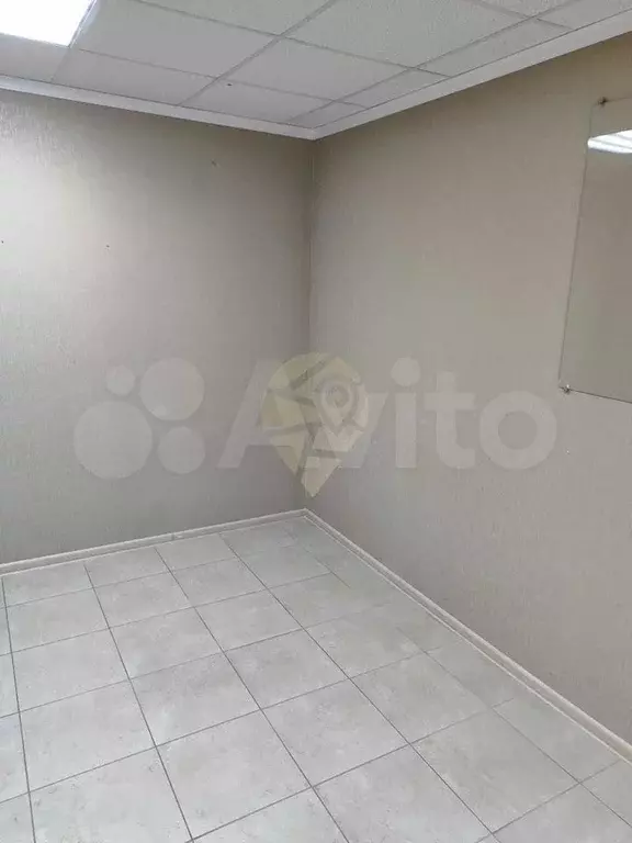 Сдам помещение свободного назначения, 38 м - Фото 1