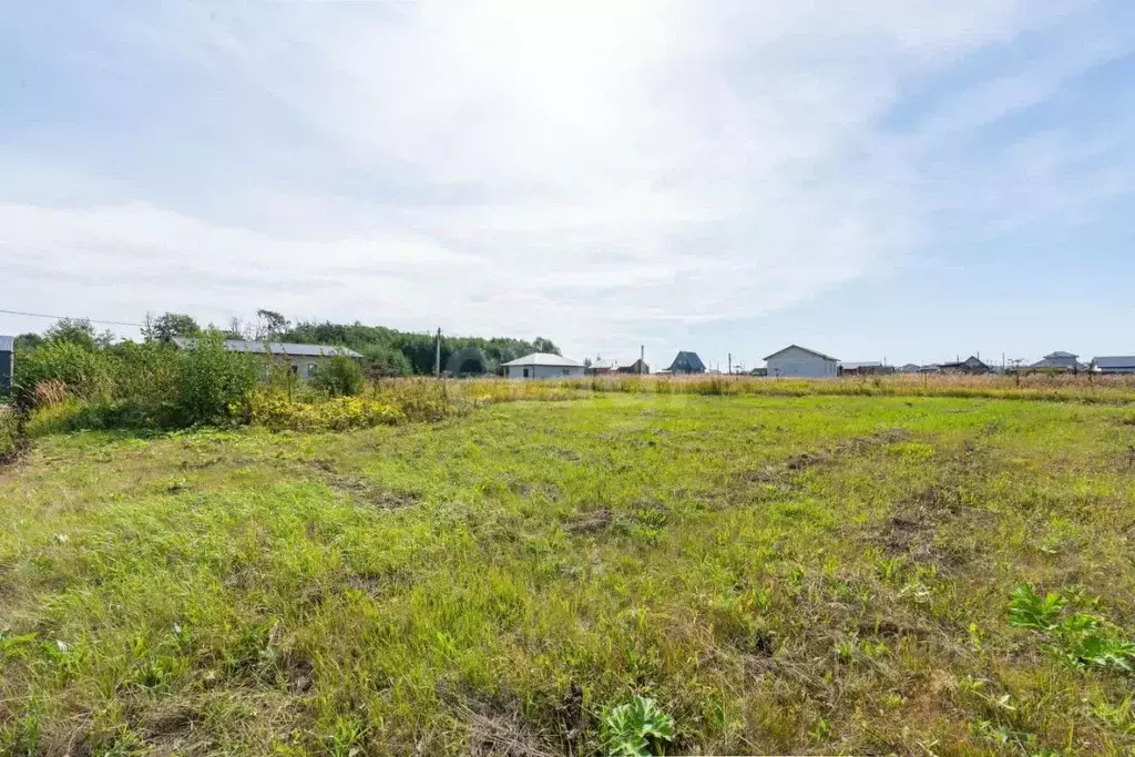 Участок в Пермский край, Пермский муниципальный округ, Мокино Грин кп ... - Фото 2