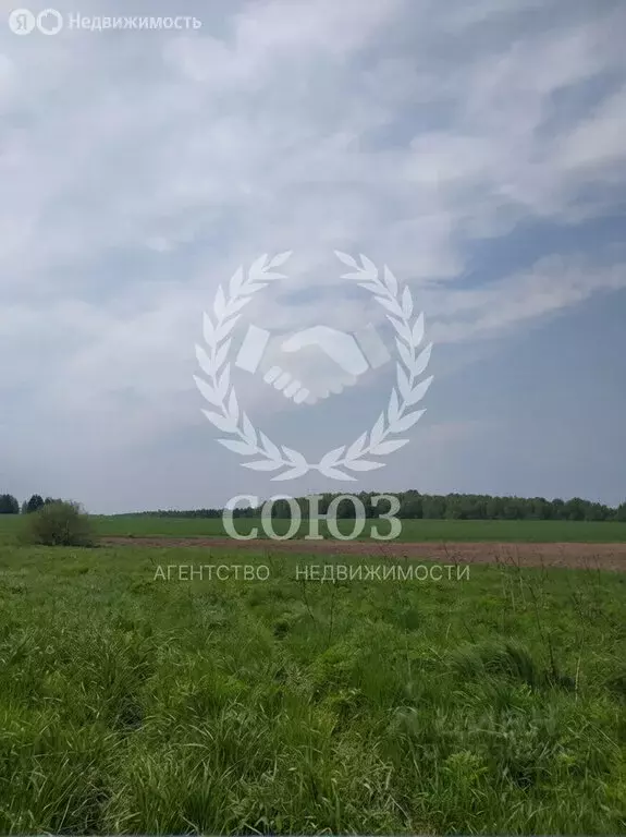 Участок в Калужская область, Боровский муниципальный округ, деревня ... - Фото 1