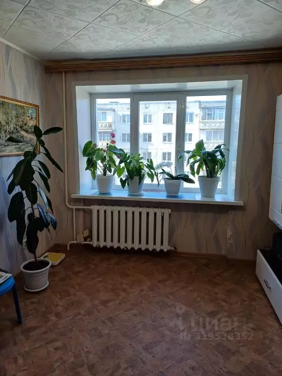 1-к кв. Ивановская область, Кинешма пер. Дунаевского, 20 (24.0 м) - Фото 1