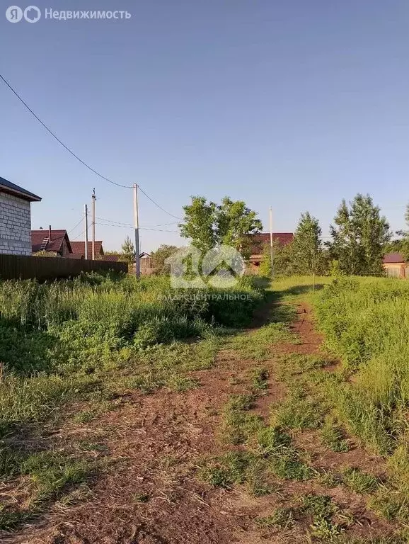 Участок в Красный Яр, Сибирская улица, 1/5 (30 м) - Фото 1