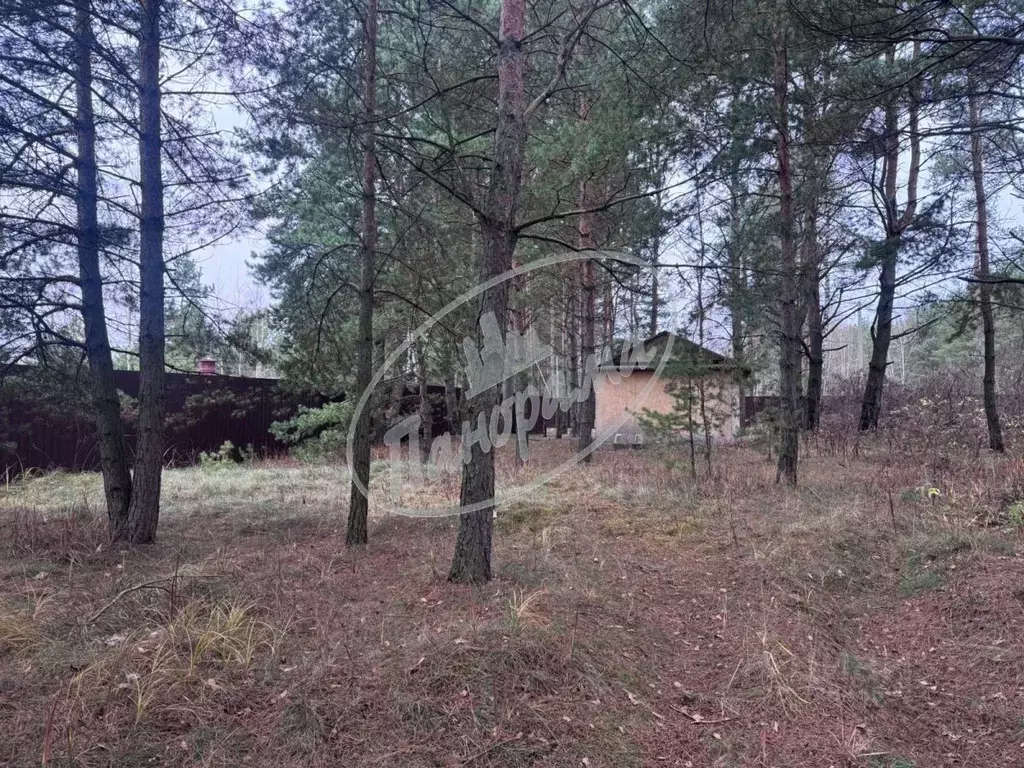 Участок в Калужская область, Дзержинский муниципальный округ, с. ... - Фото 2