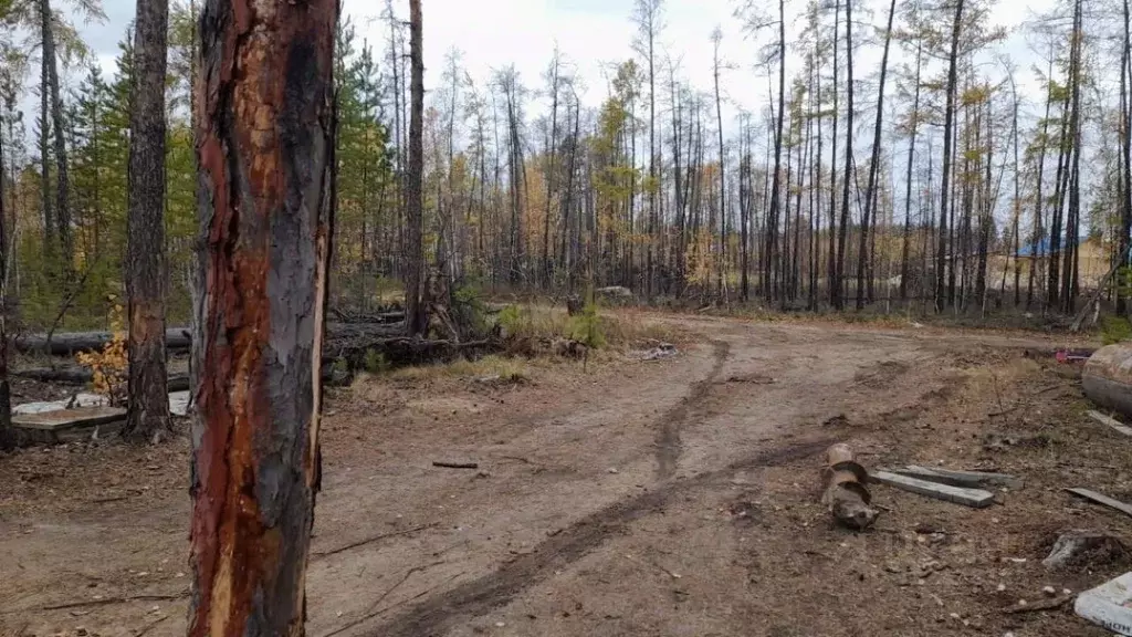 Участок в Саха (Якутия), Мегино-Кангаласский улус, Нижний Бестях пгт  ... - Фото 2