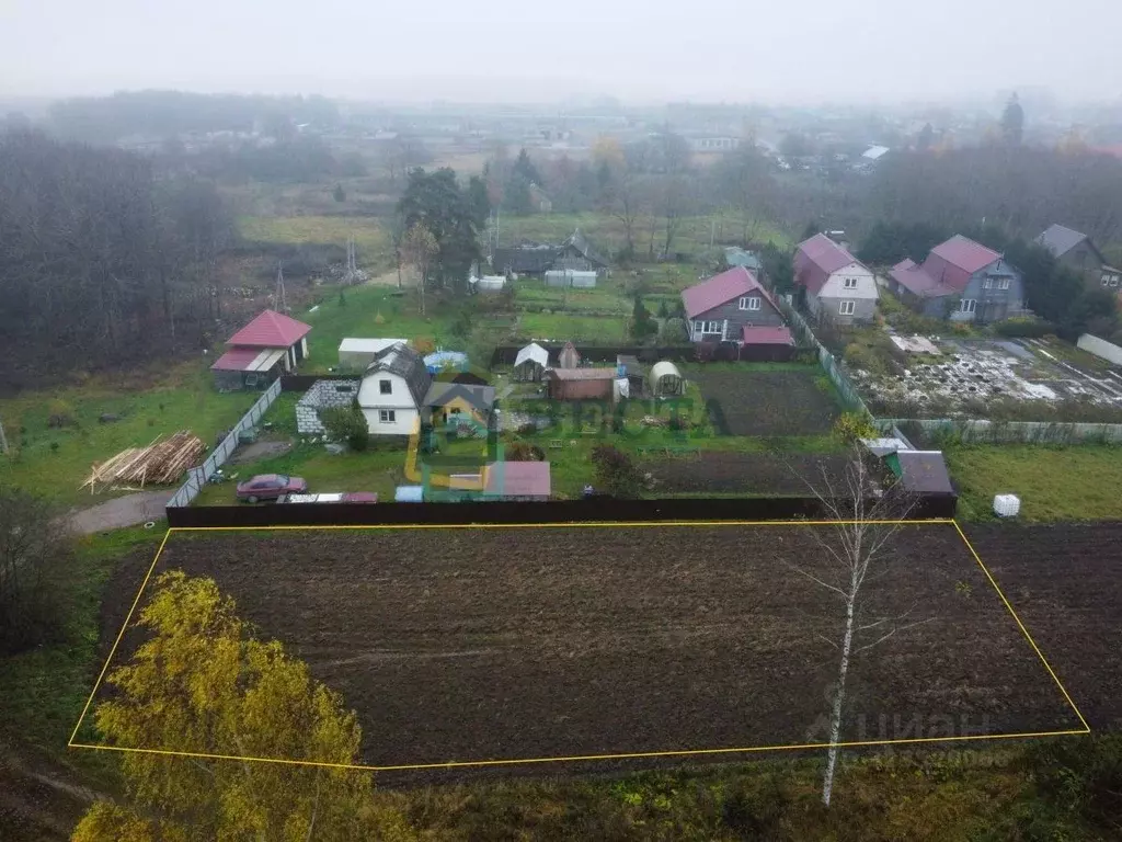 Участок в Ленинградская область, Волосовский район, Клопицкое с/пос, ... - Фото 2