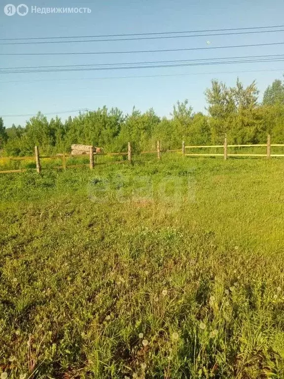 Участок в Майминский район, село Майма (6.3 м) - Фото 1