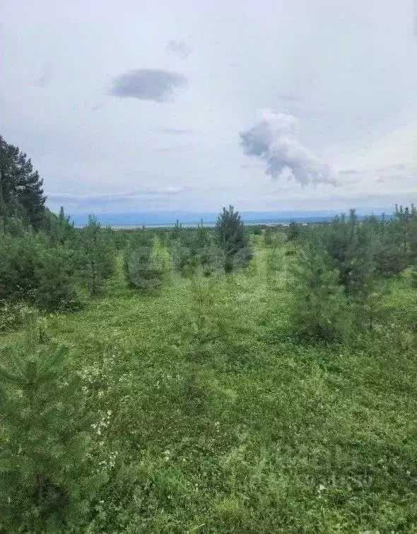 Участок в Бурятия, Тункинский район, с. Тагархай ул. Тулаева (20.5 ... - Фото 1
