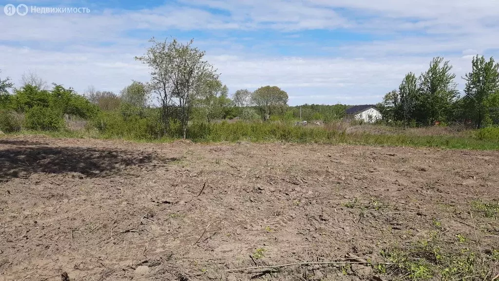 Участок в Калининградская область, Гурьевский муниципальный округ, ДНП ... - Фото 2