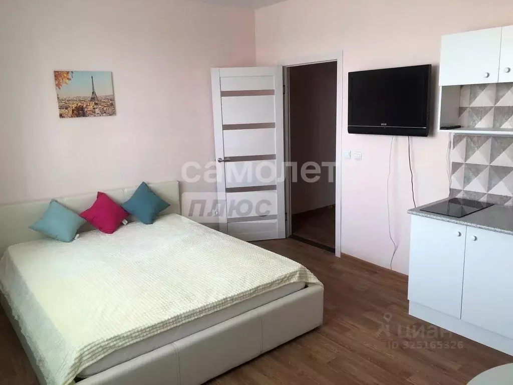 Студия Пензенская область, Пензенский район, Засечный сельсовет, с. ... - Фото 2