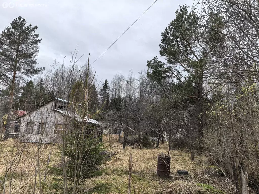 Участок в Мшинское сельское поселение, садоводческий массив Мшинская, ... - Фото 2