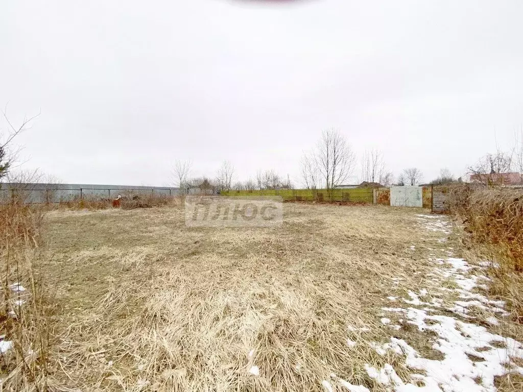 Участок в Московская область, Домодедово городской округ, с. Шубино 31 ... - Фото 2