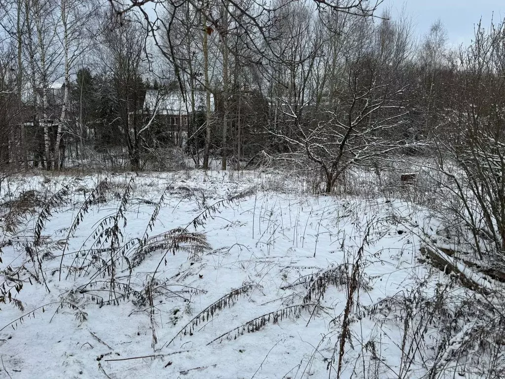 Участок в Московская область, Богородский городской округ, д. Боково  ... - Фото 0