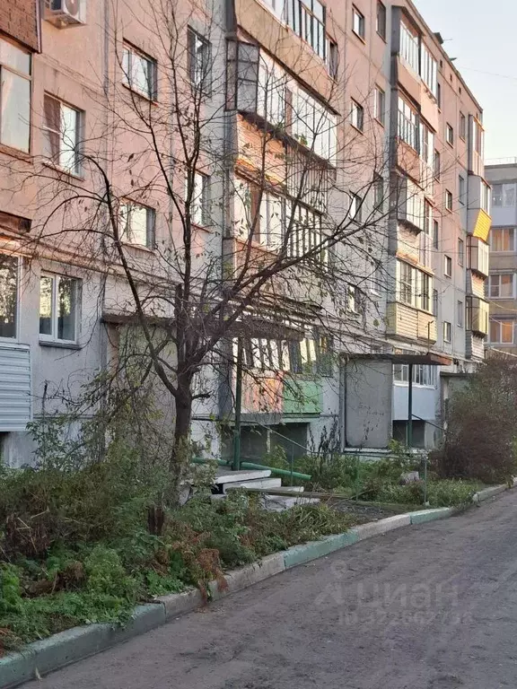 2-к кв. Курганская область, Курган ул. Анфиногенова, 7 (48.8 м) - Фото 0