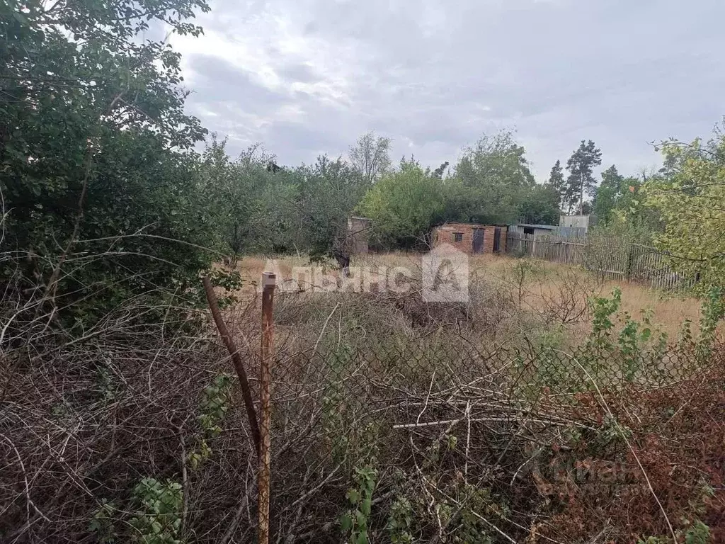 Участок в Ростовская область, Каменск-Шахтинский Ландыш СНТ, ул. ... - Фото 1