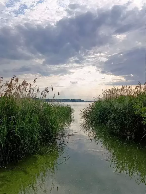 Дом 31,9 м на участке 21 сот. - Фото 1