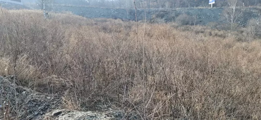 Участок в Приморский край, Находка ул. Видная (19.2 сот.) - Фото 2