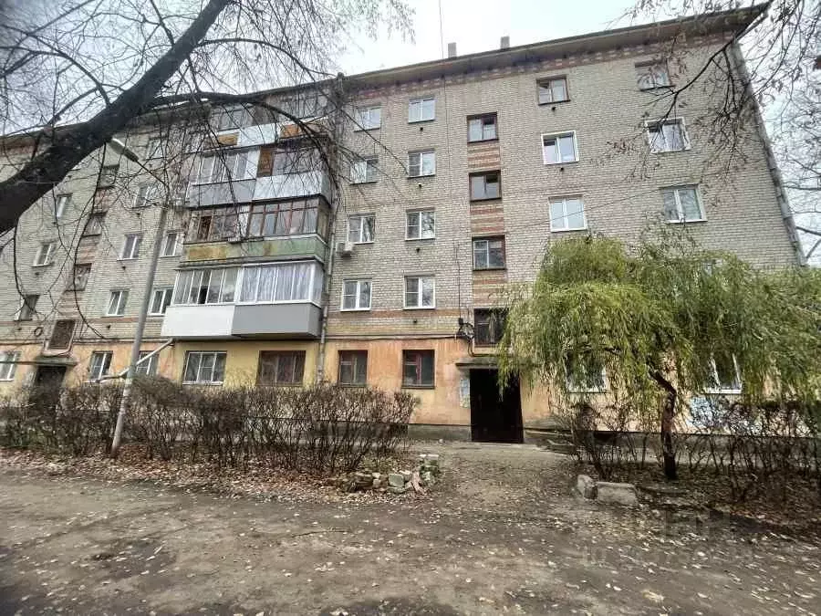 2-к кв. Воронежская область, Воронеж Волго-Донская ул., 15 (41.0 м) - Фото 2