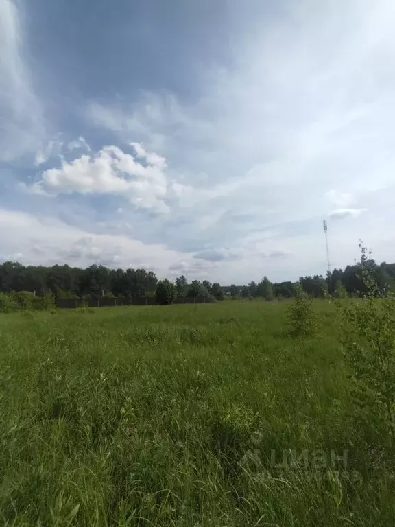 Участок в Московская область, Ступино городской округ, д. Акатово ул. ... - Фото 1