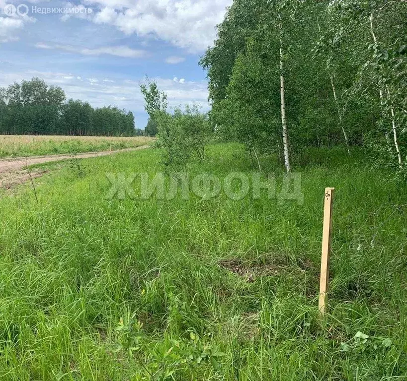 Участок в село Ленинское, улица 50 лет Октября (120.31 м) - Фото 1