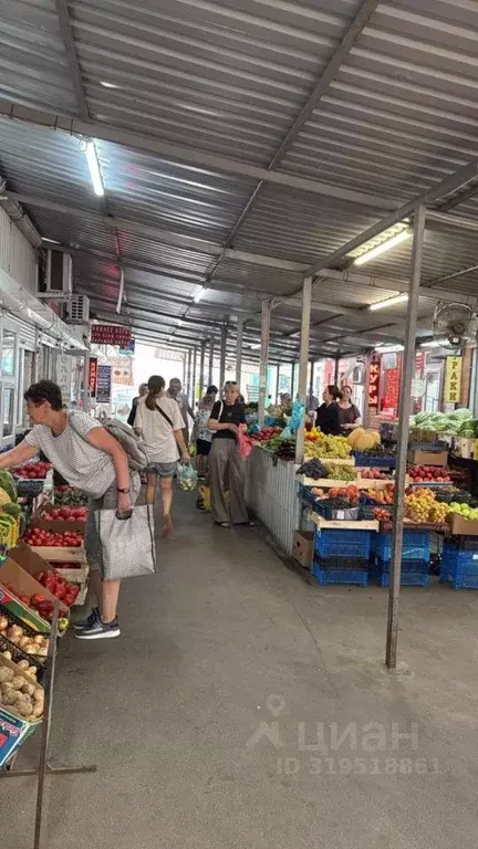 Помещение свободного назначения в Краснодарский край, Краснодар ... - Фото 2